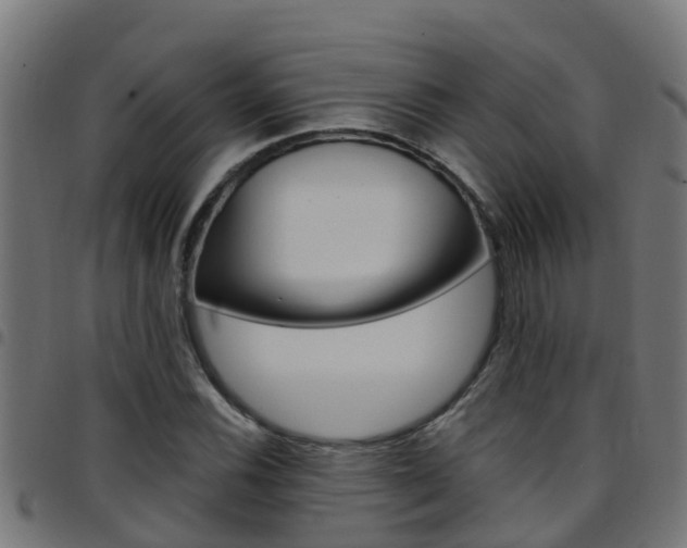 X0000097791116200803070929