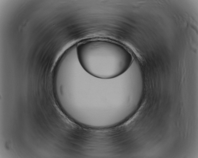 X0000097791118200803070929