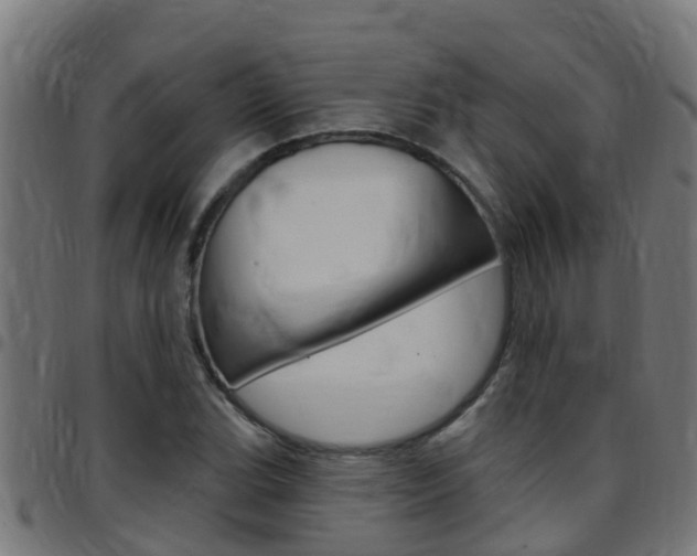 X0000097791119200803070929