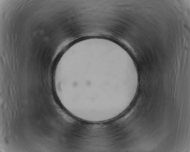 X0000097791122200803070929