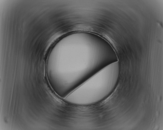 X0000097791123200803070929