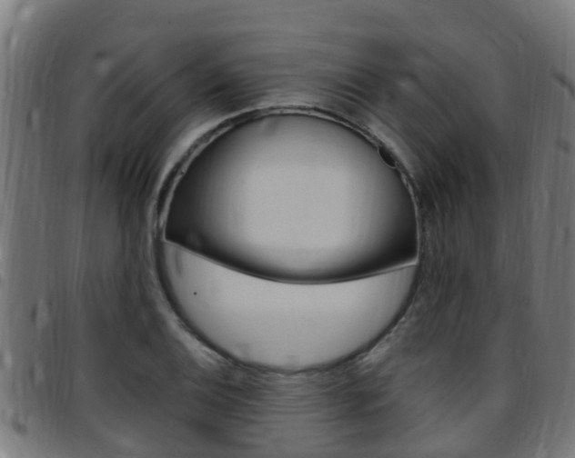 X0000097791124200803070929