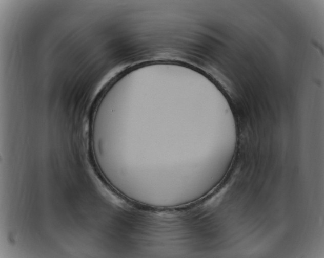 X0000097791126200803070929