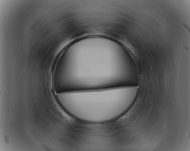 X0000097791127200803070929