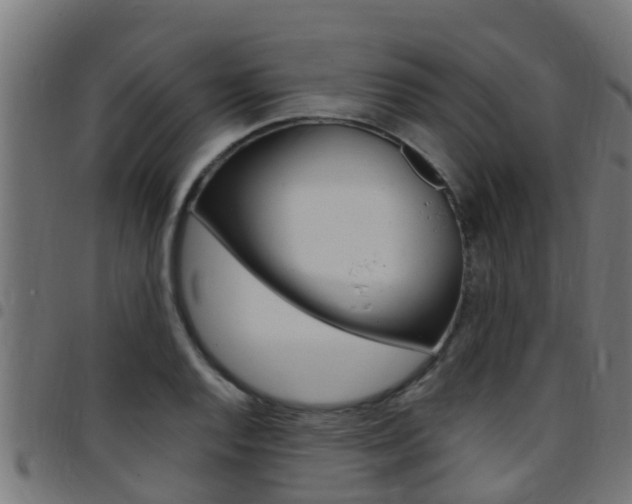 X0000097791128200803070929