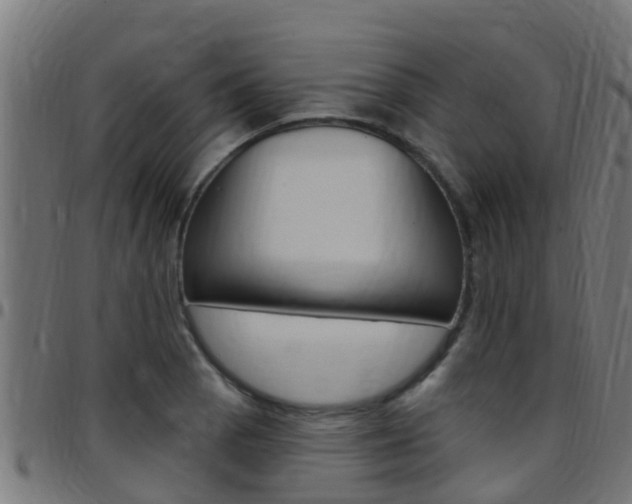 X0000097791129200803070929