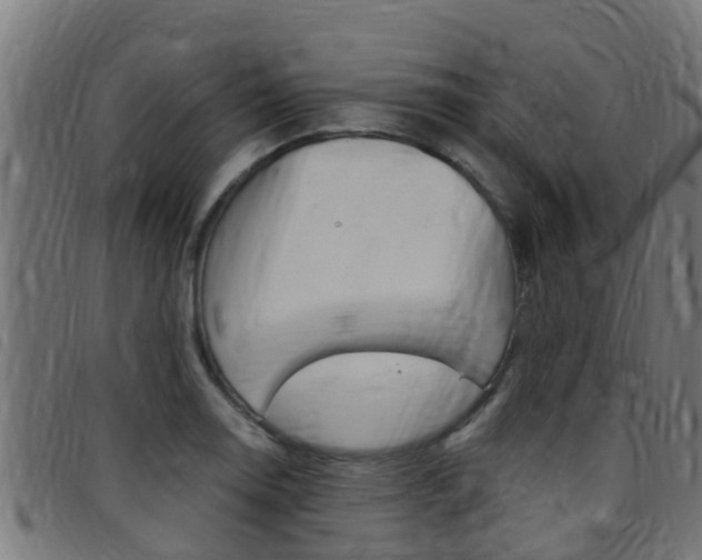 X0000097791130200803070929