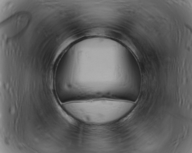X0000097791131200803070929