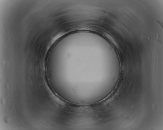 X0000097791133200803070929