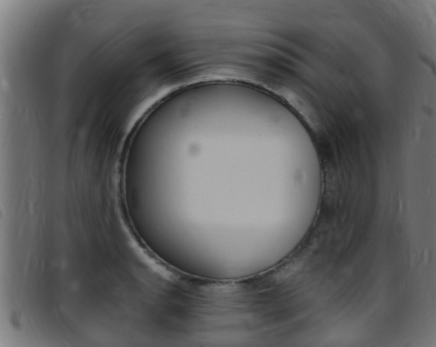 X0000097791134200803070929