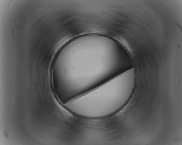X0000097791135200803070929