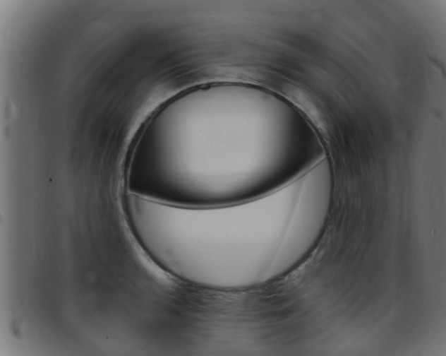 X0000097791136200803070929