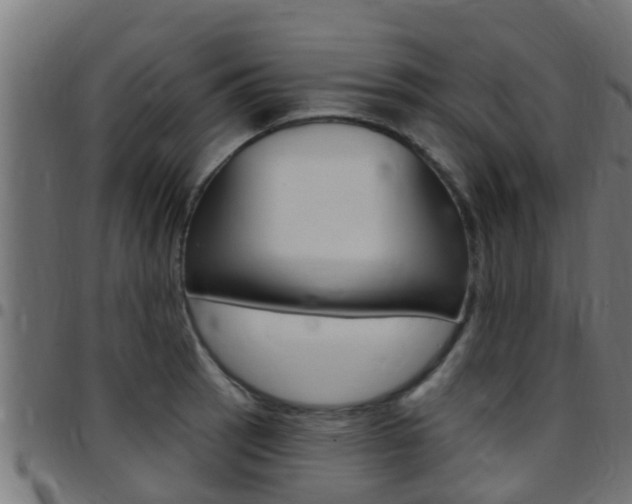 X0000097791137200803070929
