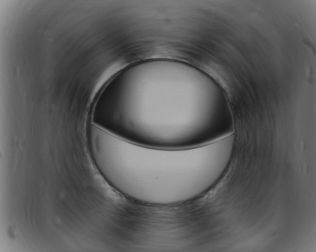 X0000097791138200803070929