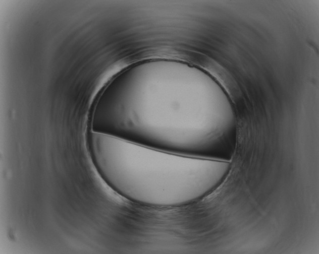 X0000097791139200803070929