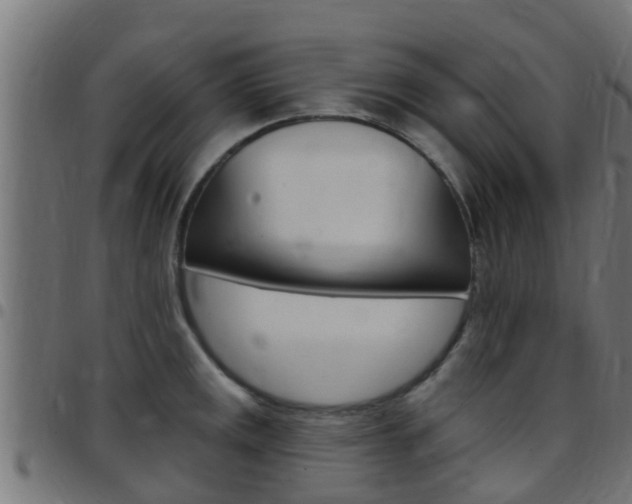 X0000097791141200803070929