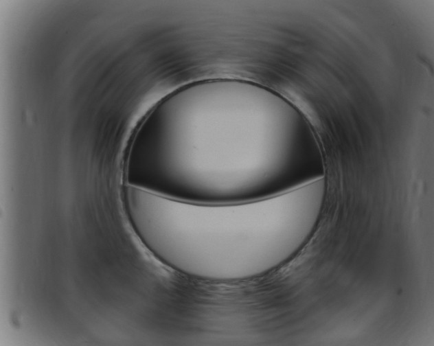 X0000097791144200803070929
