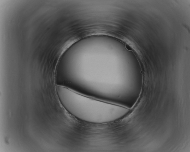 X0000097791145200803070929