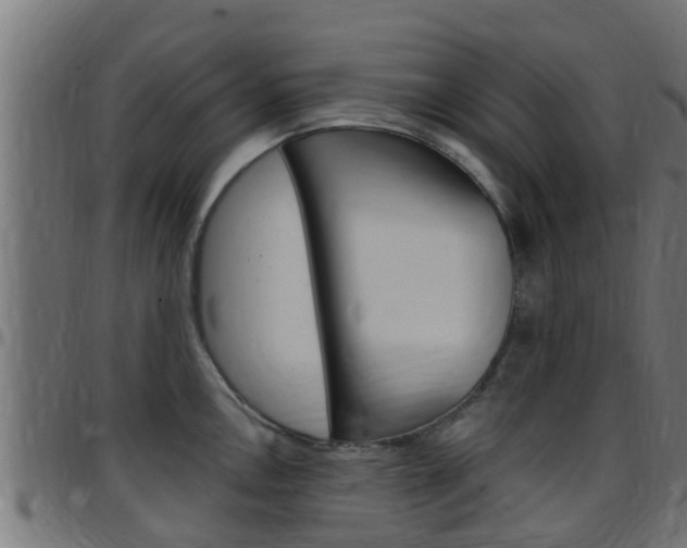 X0000097791146200803070929
