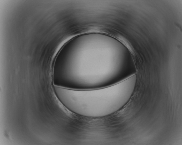 X0000097791148200803070930
