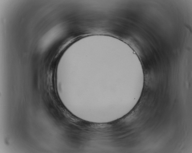 X0000097791150200803070930
