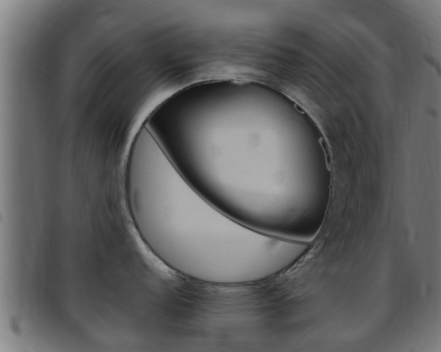 X0000097791152200803070930