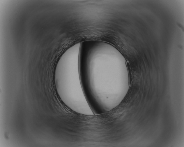 X0000097791153200803070929