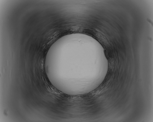 X0000097791154200803070929