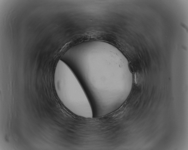 X0000097791155200803070929