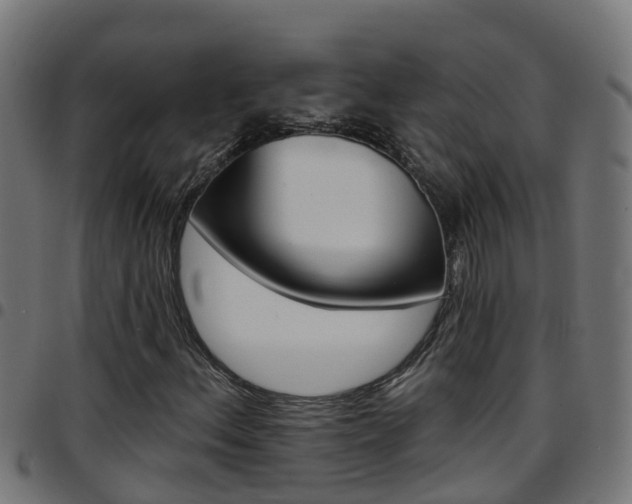 X0000097791156200803070929