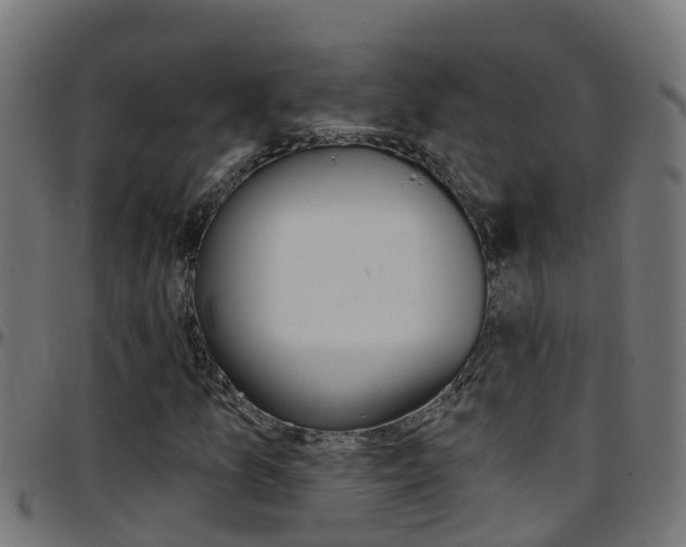 X0000097791157200803070929