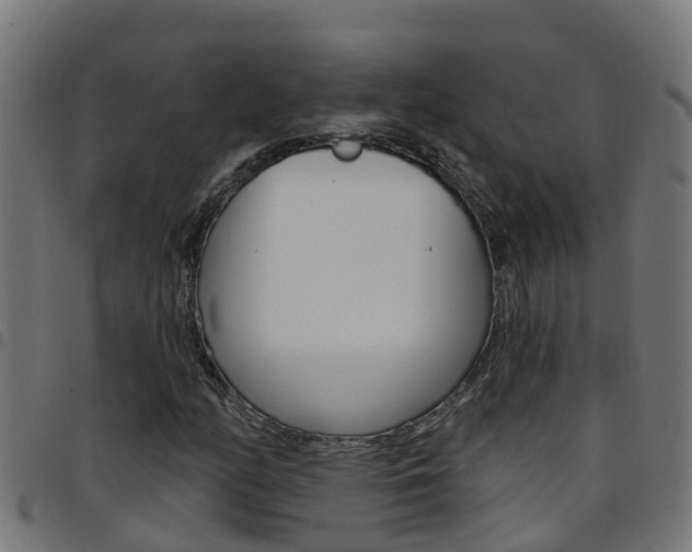 X0000097791158200803070929