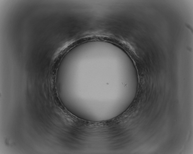 X0000097791159200803070929