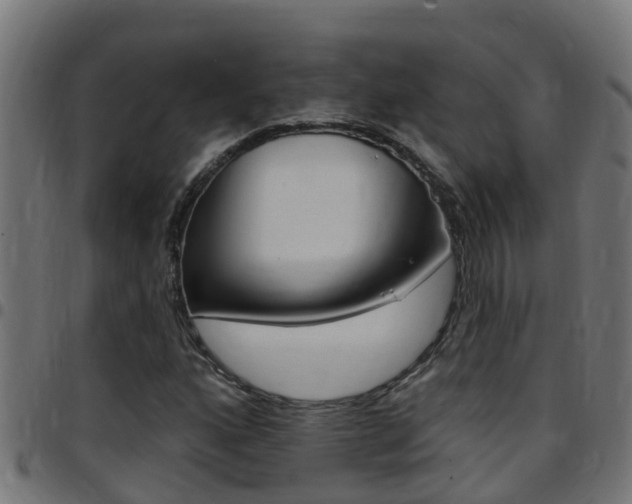 X0000097791160200803070929