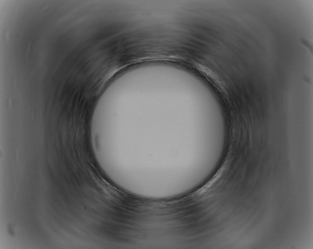 X0000097791161200803070929