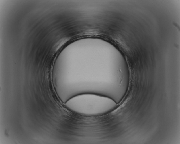 X0000097791162200803070929
