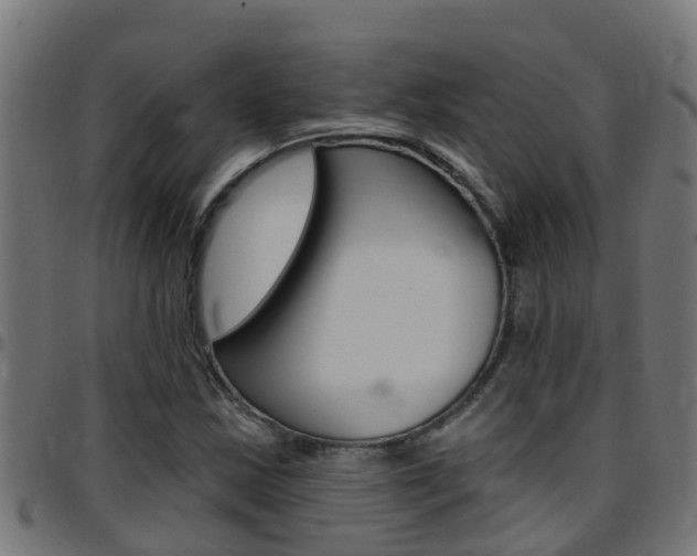 X0000097791163200803070929