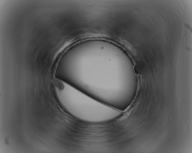 X0000097791165200803070929