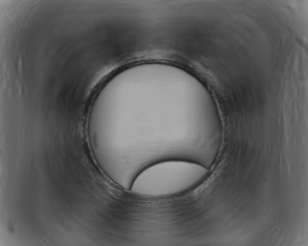 X0000097791166200803070929