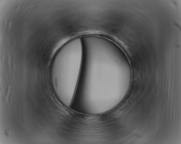 X0000097791171200803070928