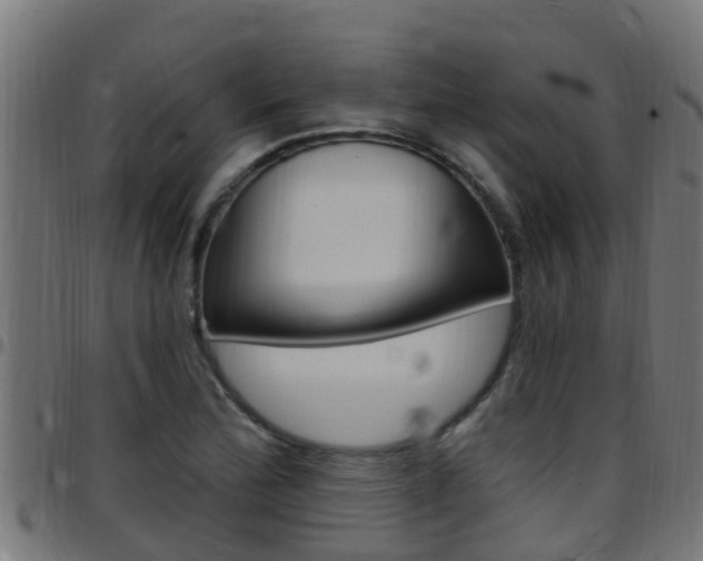 X0000097791172200803070928