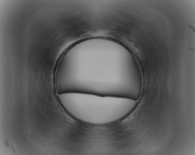 X0000097791174200803070928