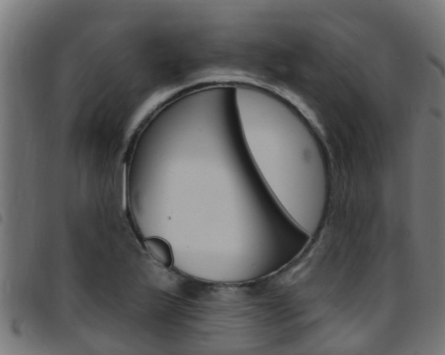 X0000097791175200803070928