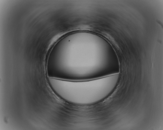 X0000097791176200803070928
