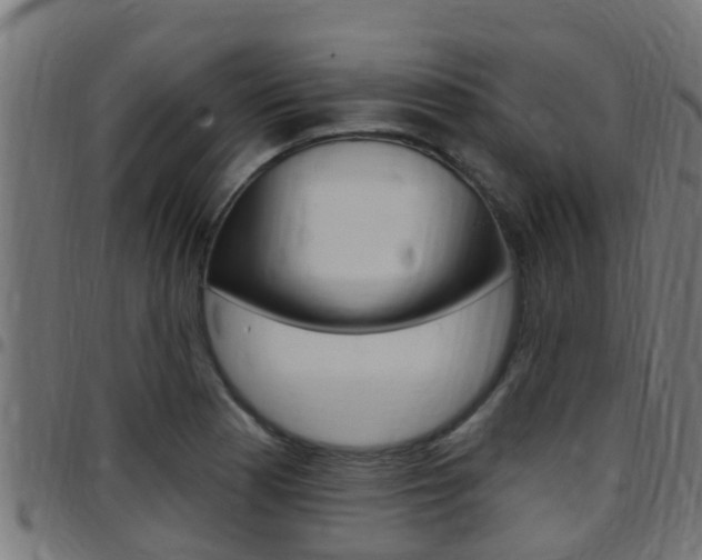 X0000097791177200803070928