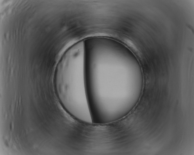 X0000097791181200803070928