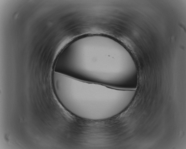 X0000097791183200803070928