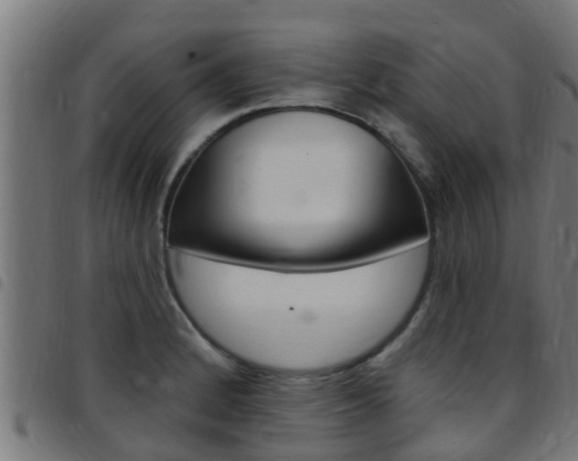 X0000097791184200803070928