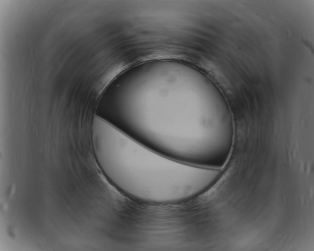X0000097791185200803070928