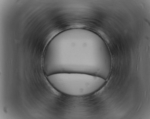 X0000097791186200803070928